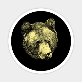 Brown bear portrait Magnet